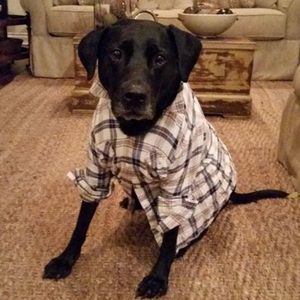 Meet your Posher, Jill